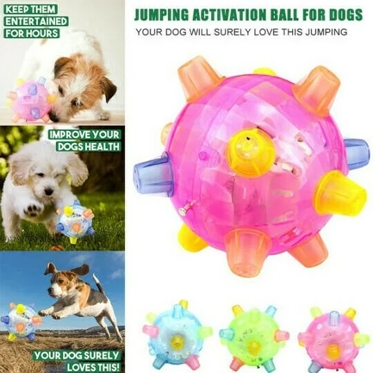 Jumping Activation Ball for Dogs, Interactive Toy for Exercise and Play