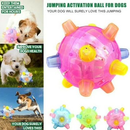 Jumping Activation Ball for Dogs, Interactive Toy for Exercise and Play
