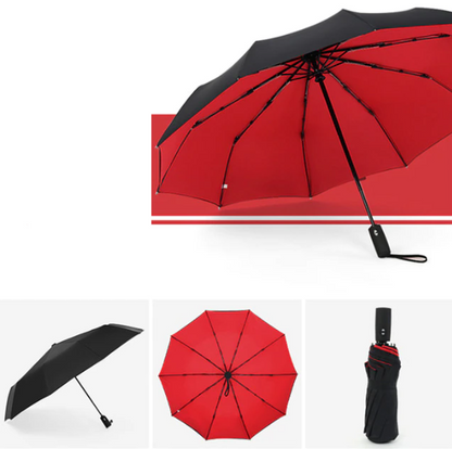 Windproof Compact Umbrella for Rain and Wind Protection